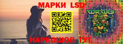 сатива Краснодар