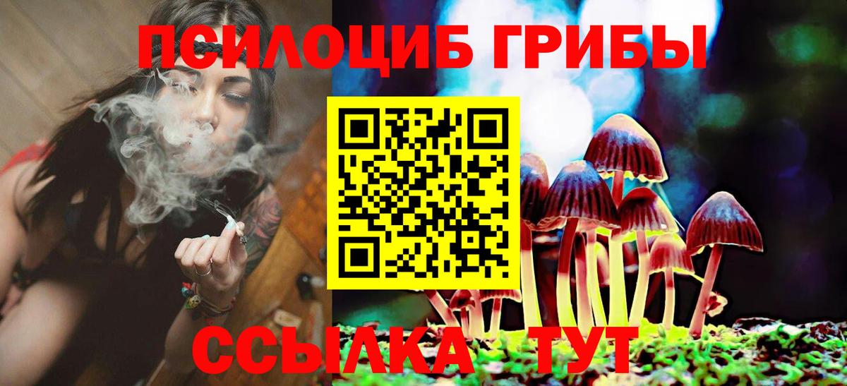 Псилоцибиновые грибы мицелий  Вход с VPN  купить наркотик  Галлюциногенные грибы Psilocybine cubensis  Кимры 