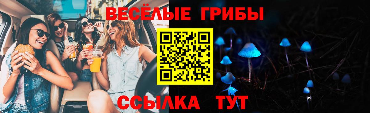 Псилоцибиновые грибы Magic Shrooms Кимры